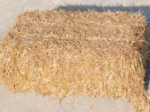 Wheat-Straw.jpg